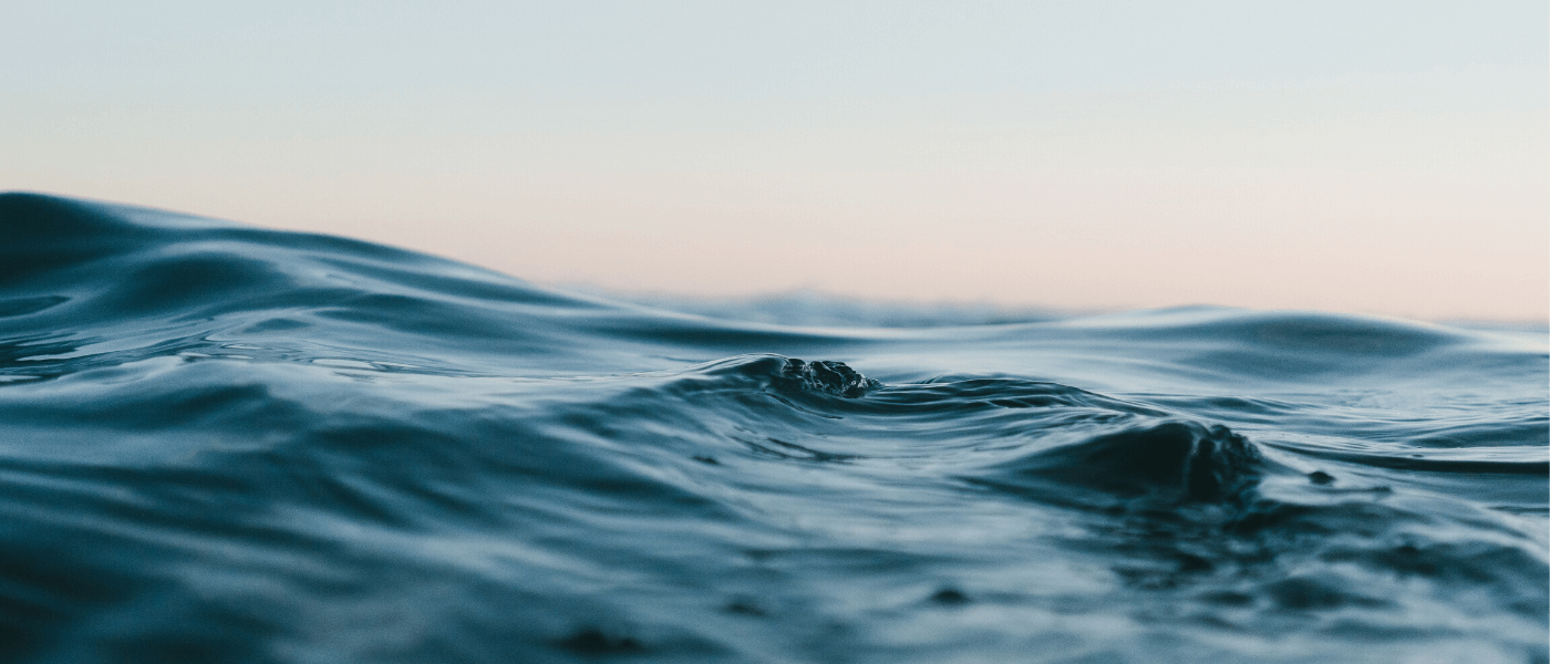 The Ocean We Need For The Future We Want The Ocean We Need For The Future We Want